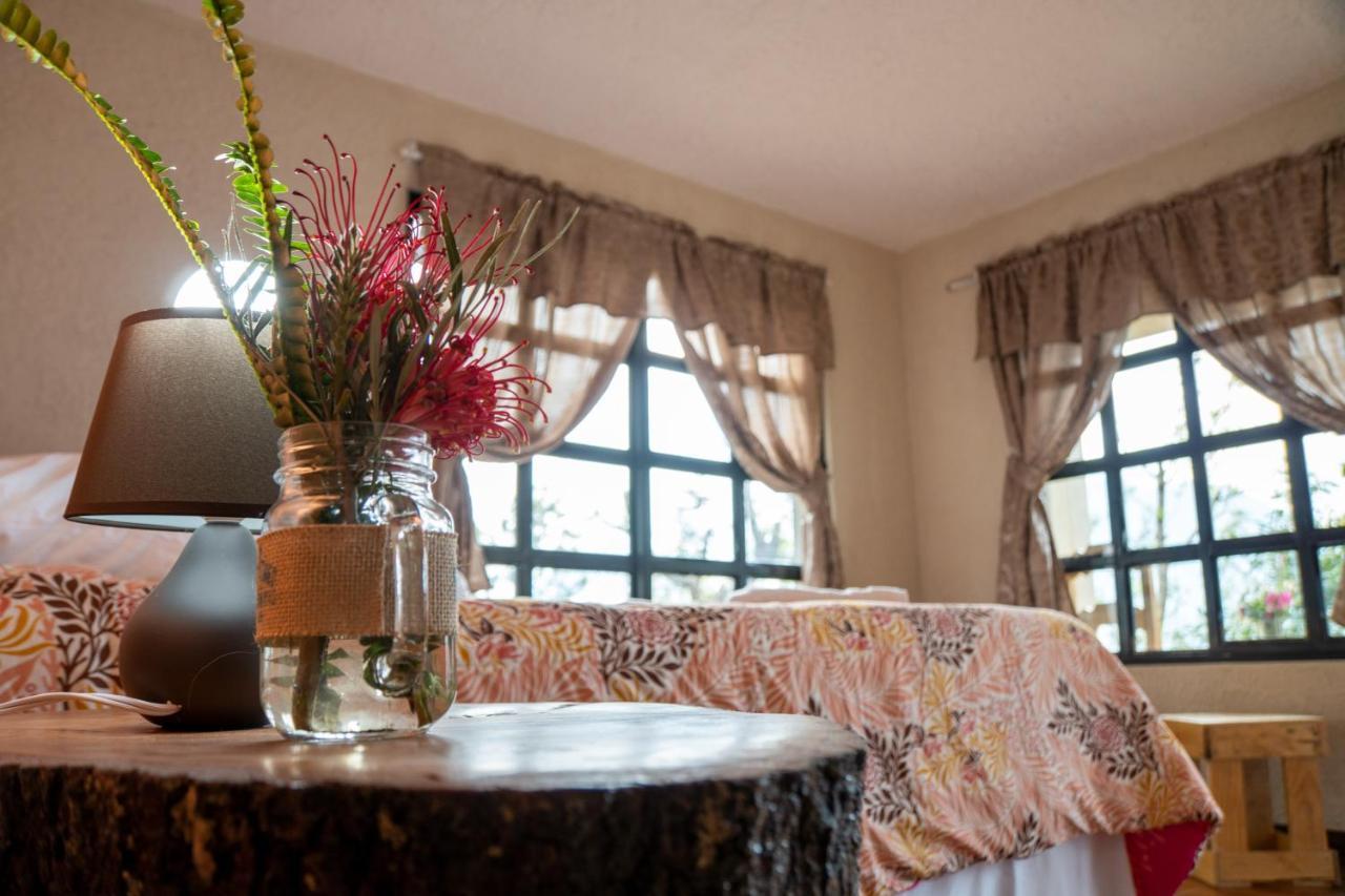 Rancho Fortaleza -Hotel & Spa- San Antonio Palopo ภายนอก รูปภาพ